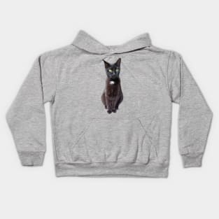 Cat Lover Gifts.  Chili cat Kids Hoodie